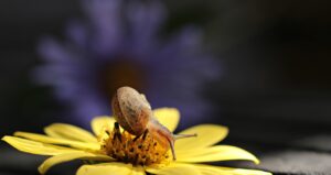ジェイエステで都度払いができるプランはどれがおすすめ？