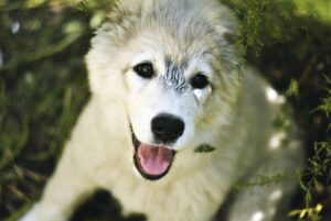 都度払いで脱毛を受けるなら京都のおすすめサロンは？