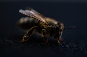都度払いで脱毛を受ける際の神戸のおすすめサロンは？