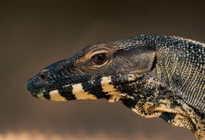 全身脱毛の都度払いモニターを利用するメリットは？
