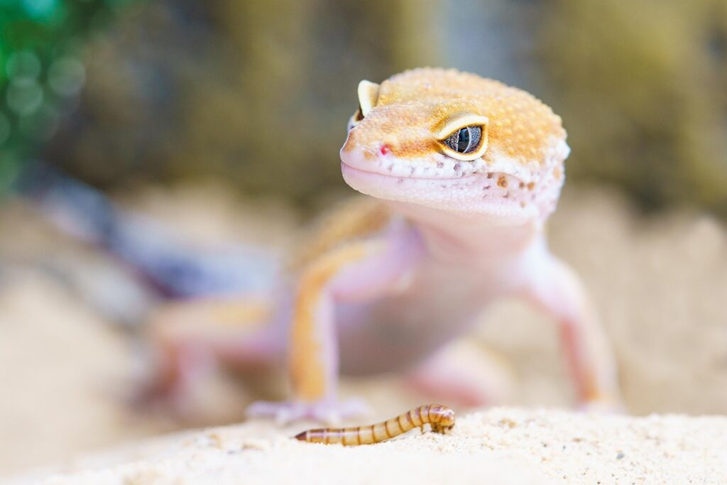 エステの写真は信じていい？